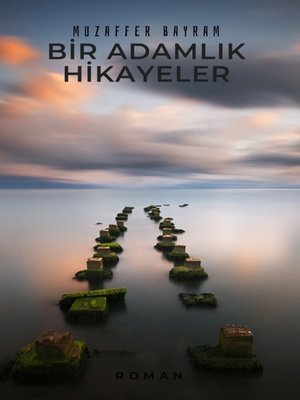 cover image of BİR ADAMLIK HİKÂYELER